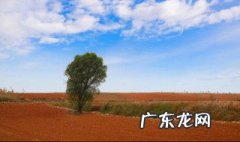 黄土的来源有什么说法 黄土来自哪里