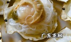 动森扇贝有什么用 动森 扇贝有什么用