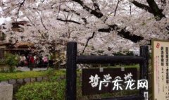 学哲学有啥好处 学哲学有什么用呢
