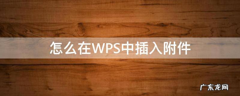 怎么在wps中添加附件 怎么在WPS中插入附件