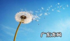 有什么句子安慰人的心情 有什么句子安慰人的