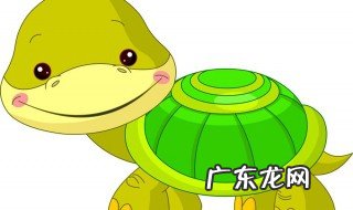 怎么样养龟,有哪些讲究 怎么样养好龟