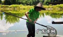 在农村小河里网鱼技巧 河边怎么网鱼简单方法