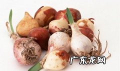 水仙花是种子种植的吗 水仙花有没有种子