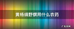 黄杨绢野螟用什么农药 黄杨绢野螟防治用药