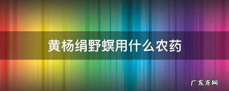 黄杨绢野螟用什么农药 黄杨绢野螟防治用药