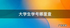 大学生学号哪里查 大学学号查个人信息