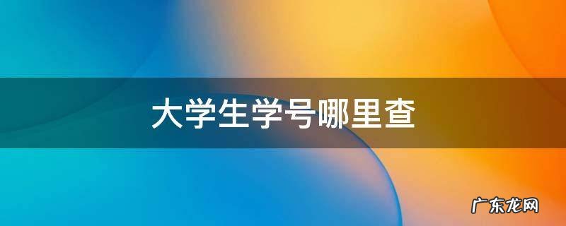 大学生学号哪里查 大学学号查个人信息