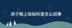鸽子早晚咕咕叫 鸽子晚上咕咕叫是怎么回事