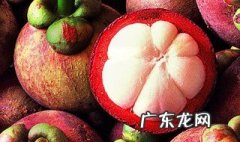 山竹长在树上还是地上 山竹是长在树上还是长在地上