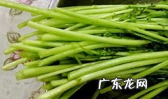 茼蒿剪了还能长出来吗 茼蒿剪了还能长出来吗有毒吗