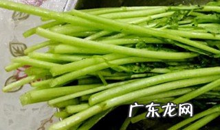 茼蒿剪了还能长出来吗 茼蒿剪了还能长出来吗有毒吗