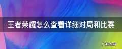 王者荣耀怎么查看详细对局和比赛 如何查看王者荣耀对局