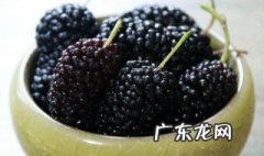 桑葚泡酒的正确方法 桑葚可以和什么一起泡酒