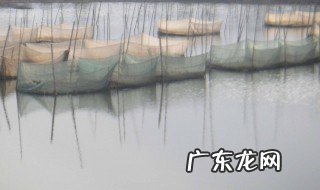 黄鳝怎么养干净的 黄鳝怎么养干净
