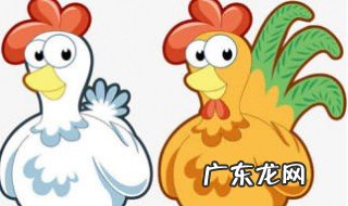 公鸡为什么经常打架 公鸡为什么总打架