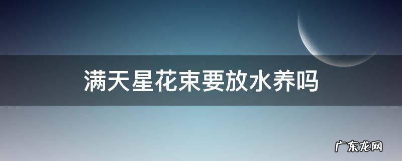 满天星花束要放水养吗 满天星花束要不要做保水