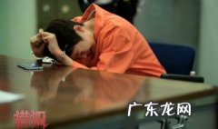 猎狐介绍结局 猎狐电视剧白洁扮演者