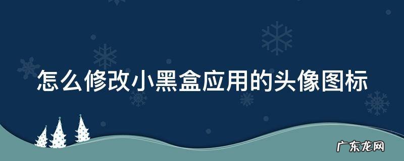 怎么修改小黑盒应用的头像图标名称 怎么修改小黑盒应用的头像图标