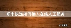 顺丰快递如何接入在线人工服务 顺丰怎么接到人工服务