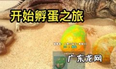 方舟手游水壶有什么用 方舟生存进化手游水壶怎么灌水