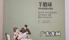 羊脂球读后感300字 羊脂球读后感400字