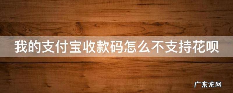 我的支付宝收款码怎么不支持花呗 我的支付宝收款码怎么不支持花呗大额