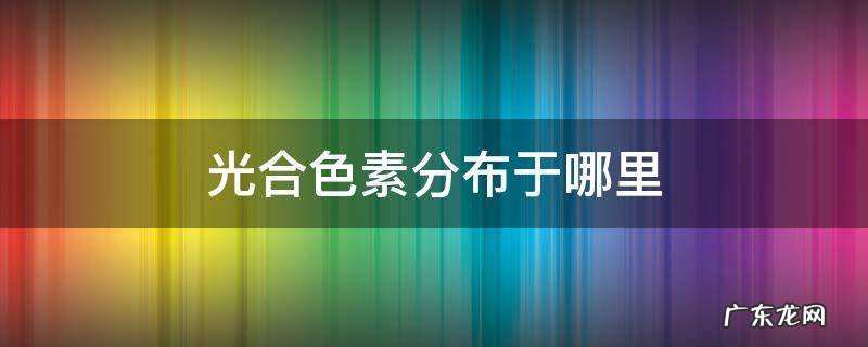 光合作用色素分布图 光合色素分布于哪里