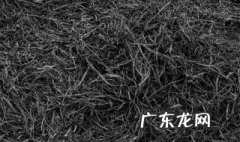 草木灰含有什么钾离子 草木灰含有什么钾