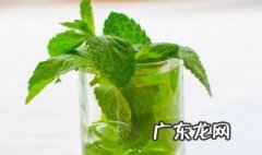 薄荷能放卧室吗 薄荷能放卧室吗有毒吗