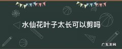 水仙花叶子太多了要不要剪一些掉 水仙花叶子太长可以剪吗