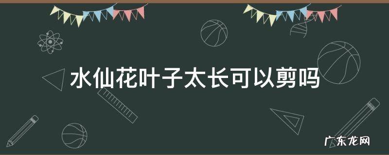 水仙花叶子太多了要不要剪一些掉 水仙花叶子太长可以剪吗