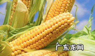 玉米有什么别名 玉米有哪些别名