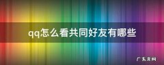qq如何看共同好友具体有哪些 qq怎么看共同好友有哪些