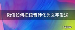 微信如何把语音转化为文字发送给朋友 微信如何把语音转化为文字发送