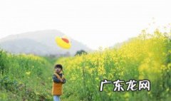 油菜丛中奔跑的女孩唯美文案 油菜花里奔跑的视频
