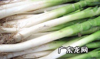 葱根法种葱 葱根种葱注意事项