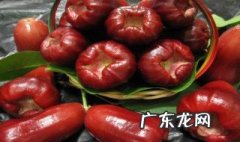 莲雾果有什么好处呢 莲雾果有什么营养价值