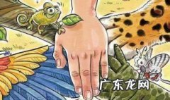 我们如何保护濒危植物和动物? 我们如何保护濒危植物和动物英语