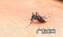 晚上睡觉驱蚊子小妙招宝宝 晚上睡觉驱蚊子小妙招
