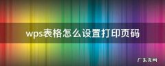 wps excel打印页码怎么设置 wps表格怎么设置打印页码