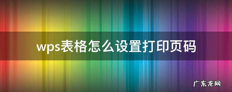 wps excel打印页码怎么设置 wps表格怎么设置打印页码