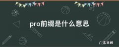 Pro是前缀吗 pro前缀是什么意思
