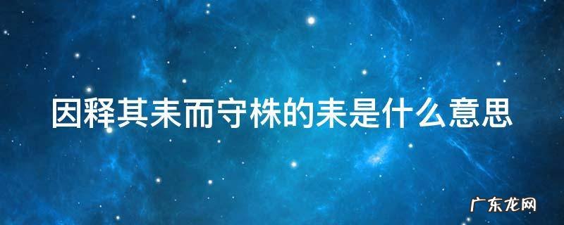 因释其耒而守株的耒是什么意思今义 因释其耒而守株的耒是什么意思