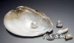 母贝佩戴注意事项是什么 母贝佩戴注意事项