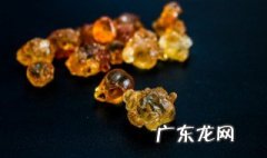 燕窝皂角米桃胶的做法窍门 桃胶皂角米燕窝的做法