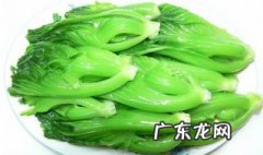 煮芥菜的家常做法窍门 煮芥菜的家常做法