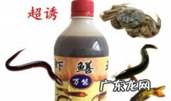 超诱怎么搭配钓鲫鱼 超诱和什么饵搭配好