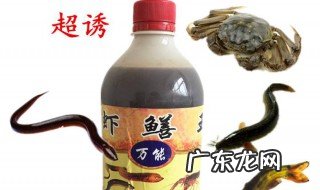 超诱怎么搭配钓鲫鱼 超诱和什么饵搭配好