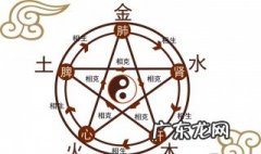木命跟什么命配 木命和什么命搭配好